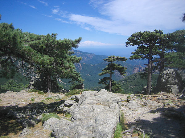 Blick vom Col de Bavella in Richtung Solenzara