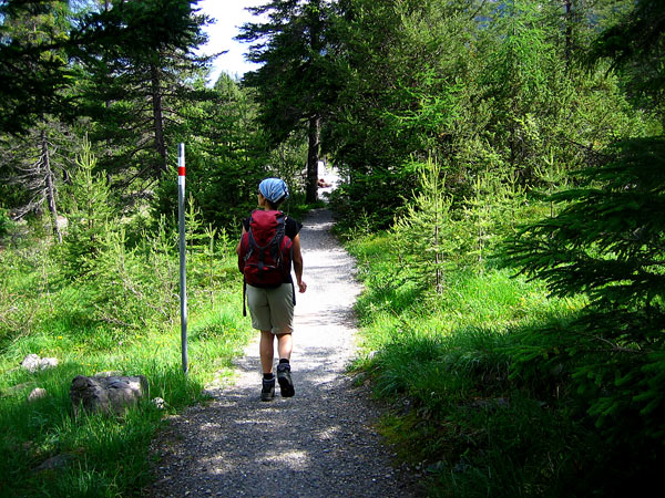 Gepflegte Wanderwege in der Schweiz.
