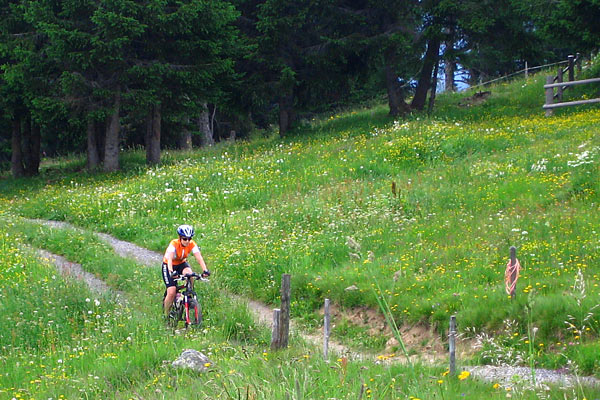 MTB Tour in Lenzerheide.