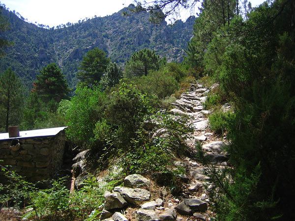 Wanderweg im Tavignanotal