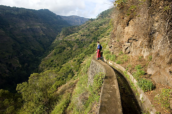 Levada Nova