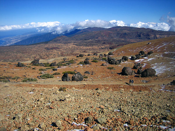 Huevos del Teide