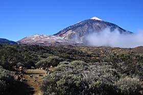 Teneriffa 2008